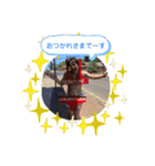 スタンプスタ2（個別スタンプ：10）