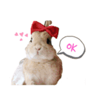 HAPPYいちごたん❤️（個別スタンプ：5）