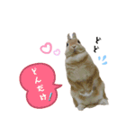 HAPPYいちごたん❤️（個別スタンプ：9）