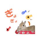 HAPPYいちごたん❤️（個別スタンプ：12）