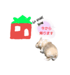 HAPPYいちごたん❤️（個別スタンプ：19）