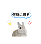 HAPPYいちごたん❤️（個別スタンプ：20）