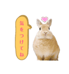 HAPPYいちごたん❤️（個別スタンプ：21）