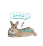 HAPPYいちごたん❤️（個別スタンプ：22）