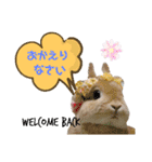 HAPPYいちごたん❤️（個別スタンプ：24）