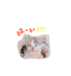 ぽむ！（個別スタンプ：2）