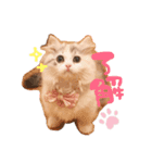 ぽむ！（個別スタンプ：3）