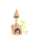 ぽむ！（個別スタンプ：7）