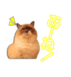 まいるんちスタンプ〜北九弁ver〜（個別スタンプ：1）