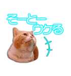 まいるんちスタンプ〜北九弁ver〜（個別スタンプ：4）