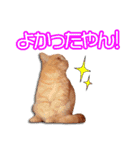 まいるんちスタンプ〜北九弁ver〜（個別スタンプ：9）