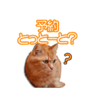 まいるんちスタンプ〜北九弁ver〜（個別スタンプ：12）