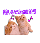 まいるんちスタンプ〜北九弁ver〜（個別スタンプ：14）
