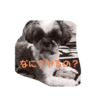 ちろちゃんすたんぷ（個別スタンプ：3）