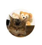 たびボーイ 3（個別スタンプ：10）