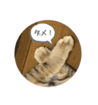 たびボーイ 3（個別スタンプ：12）