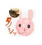 たびボーイ 3（個別スタンプ：27）