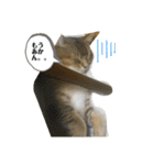たびボーイ 3（個別スタンプ：35）