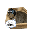 たびボーイ 3（個別スタンプ：40）