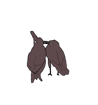 からすの様子（個別スタンプ：6）