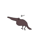 からすの様子（個別スタンプ：19）