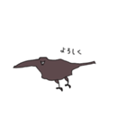からすの様子（個別スタンプ：21）