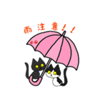 黒猫(ネロ3)（個別スタンプ：11）