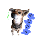 フレブルと相棒（個別スタンプ：7）