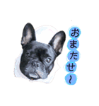 フレブルと相棒（個別スタンプ：14）