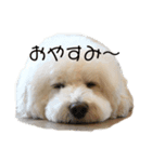 わたなべれお（個別スタンプ：1）