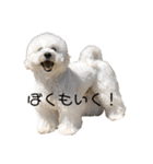 わたなべれお（個別スタンプ：2）