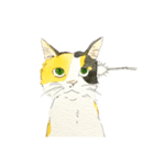 安達家の猫①（個別スタンプ：3）
