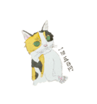 安達家の猫①（個別スタンプ：5）