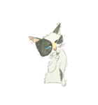 安達家の猫①（個別スタンプ：6）