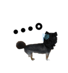 dog.ragn（個別スタンプ：12）
