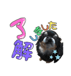 dog.ragn（個別スタンプ：19）