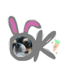 dog.ragn（個別スタンプ：22）