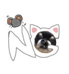 dog.ragn（個別スタンプ：23）