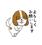 カズさんは癒し犬（個別スタンプ：11）