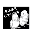 インコのあずきとセナのなかよしスタンプ‼（個別スタンプ：2）