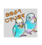 インコのあずきとセナのなかよしスタンプ‼（個別スタンプ：3）