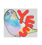 インコのあずきとセナのなかよしスタンプ‼（個別スタンプ：7）
