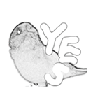 インコのあずきとセナのなかよしスタンプ‼（個別スタンプ：8）
