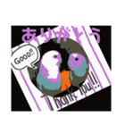 インコのあずきとセナのなかよしスタンプ‼（個別スタンプ：13）