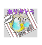 インコのあずきとセナのなかよしスタンプ‼（個別スタンプ：15）
