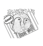 インコのあずきとセナのなかよしスタンプ‼（個別スタンプ：16）
