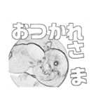 インコのあずきとセナのなかよしスタンプ‼（個別スタンプ：20）