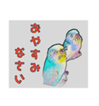 インコのあずきとセナのなかよしスタンプ‼（個別スタンプ：23）
