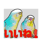 インコのあずきとセナのなかよしスタンプ‼（個別スタンプ：31）