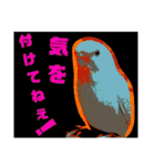 インコのあずきとセナのなかよしスタンプ‼（個別スタンプ：37）